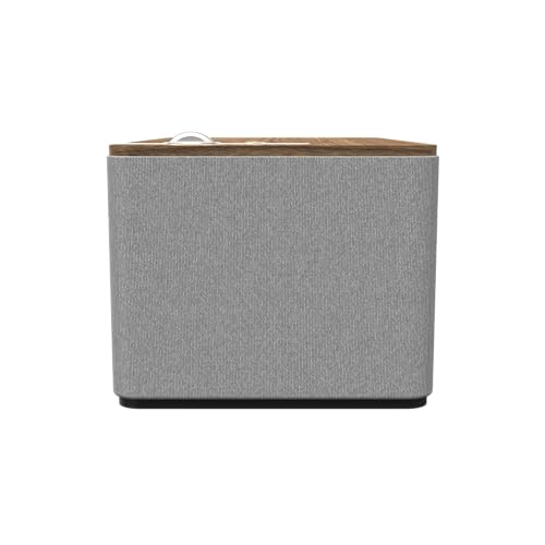 Walnut Bluetooth Speaker System F73605