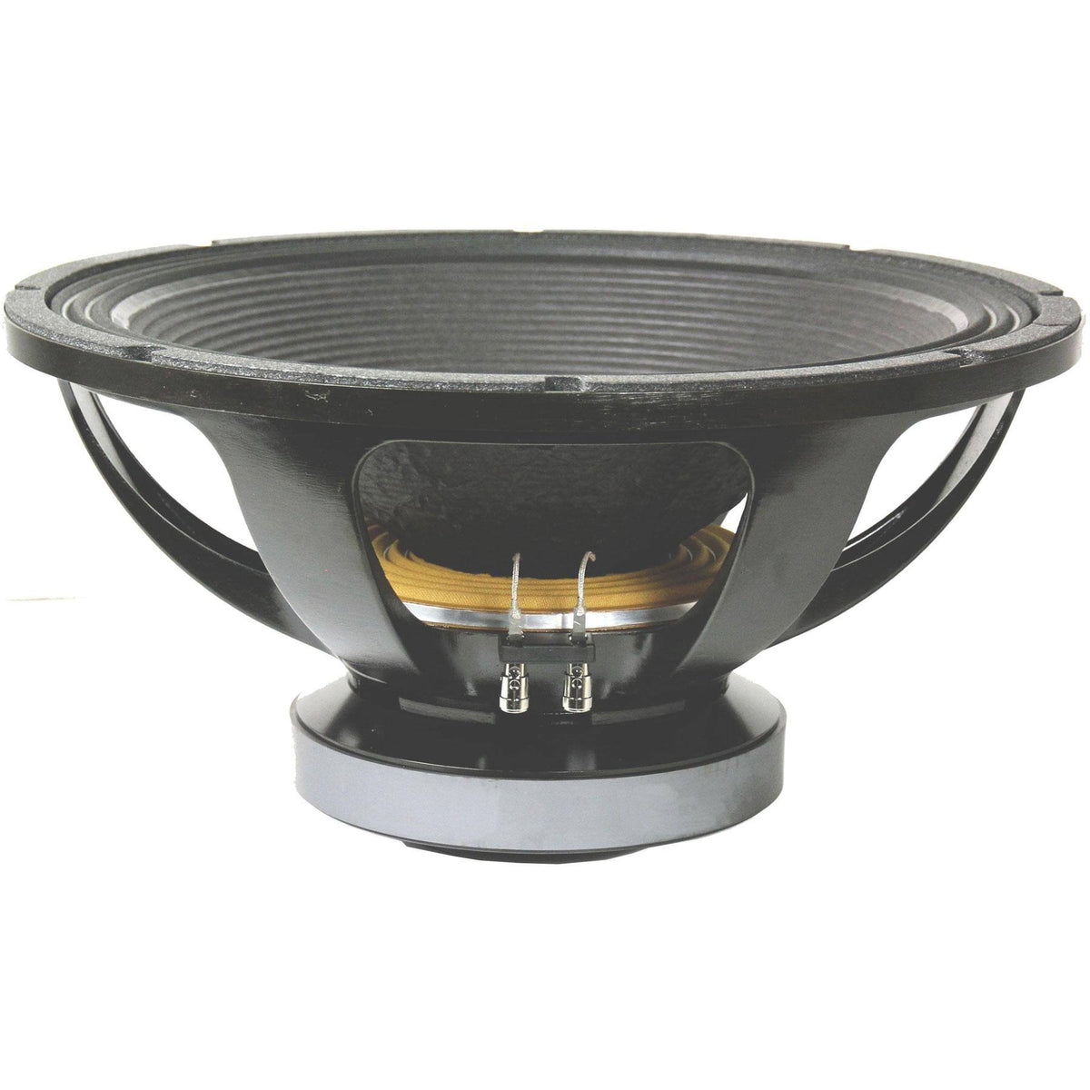18x22 Tour Grade Speakers T64981