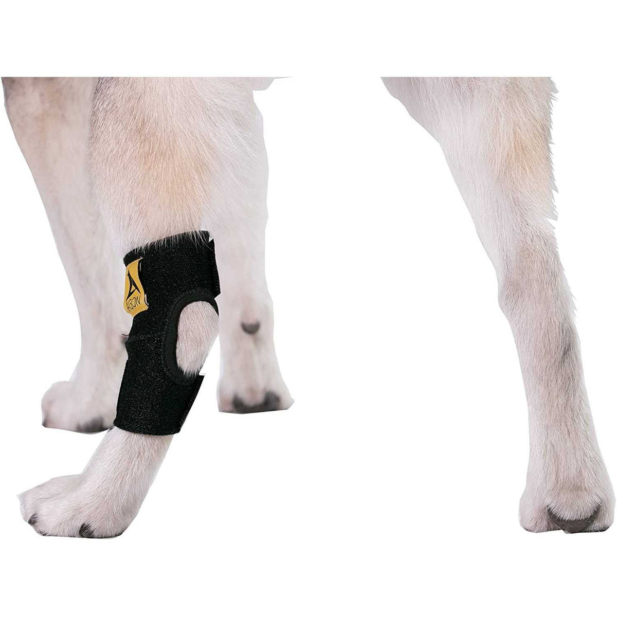 Dog Rear Hock Joint Brace Compression Wrap With Straps M9950