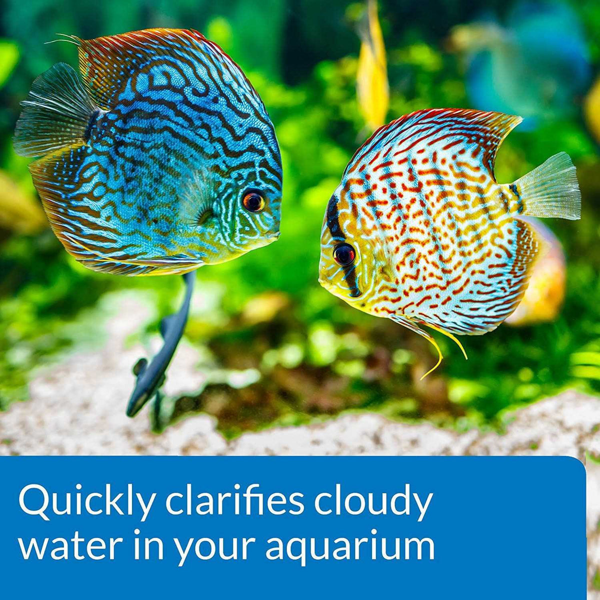 Aquarium Accu-Clear J95198