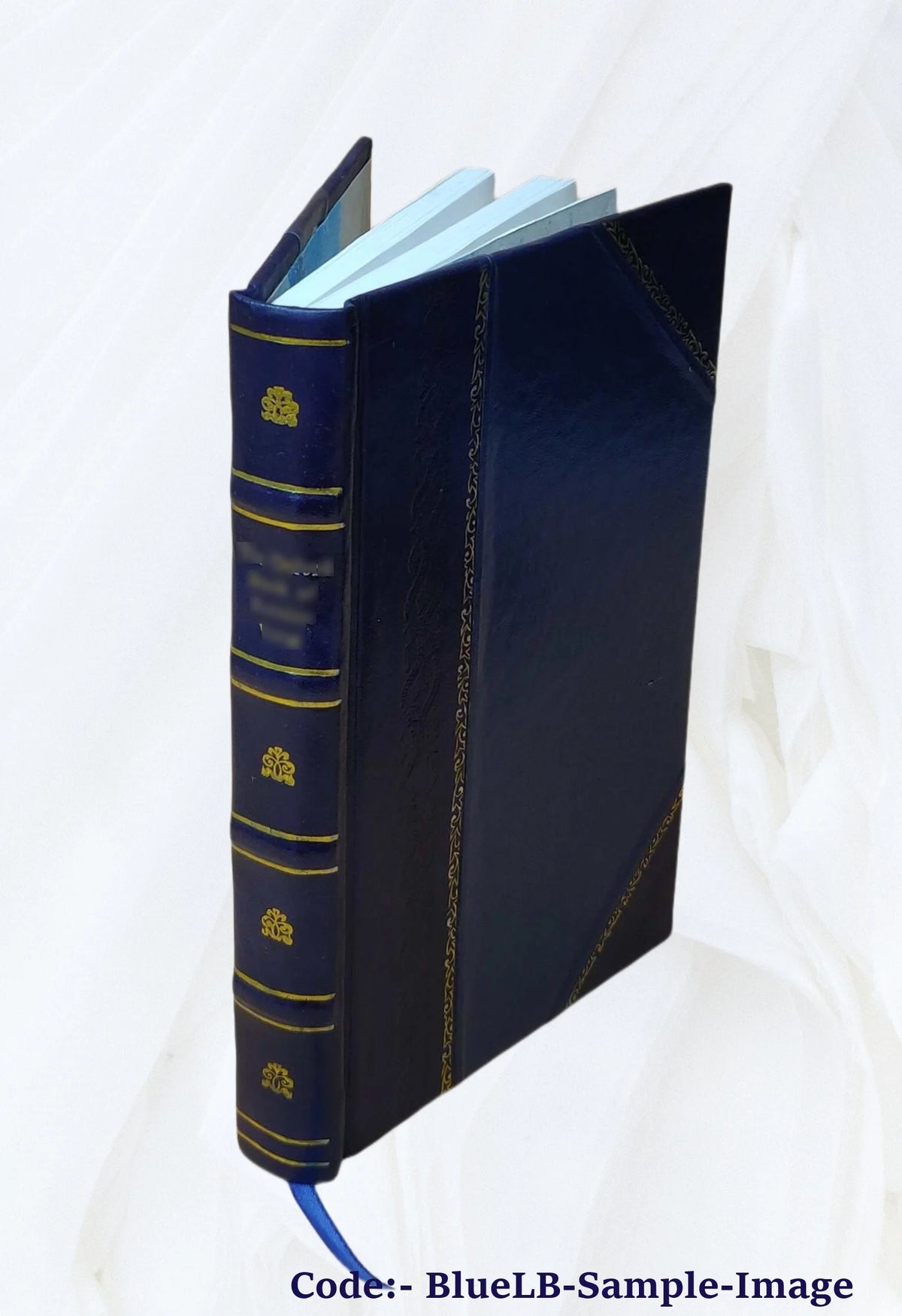 General Botha, the career and the man 1916 Leather Bound A136425