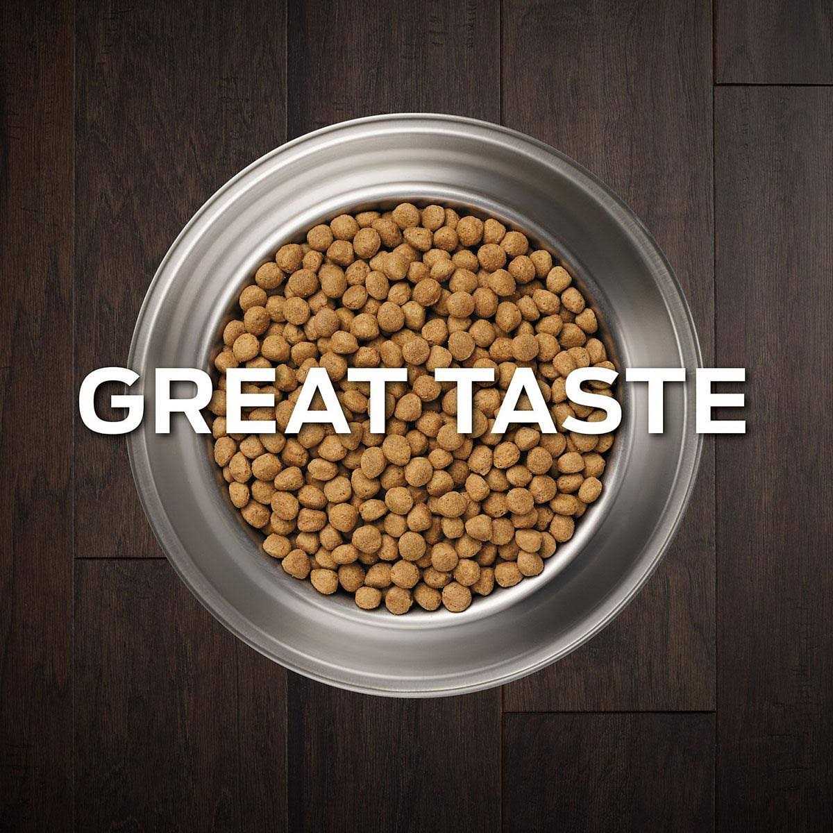 Gastroenteric Dry Dog Food O581