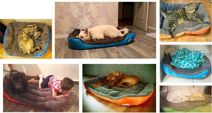 Soft Cloth Dog Bed H35844