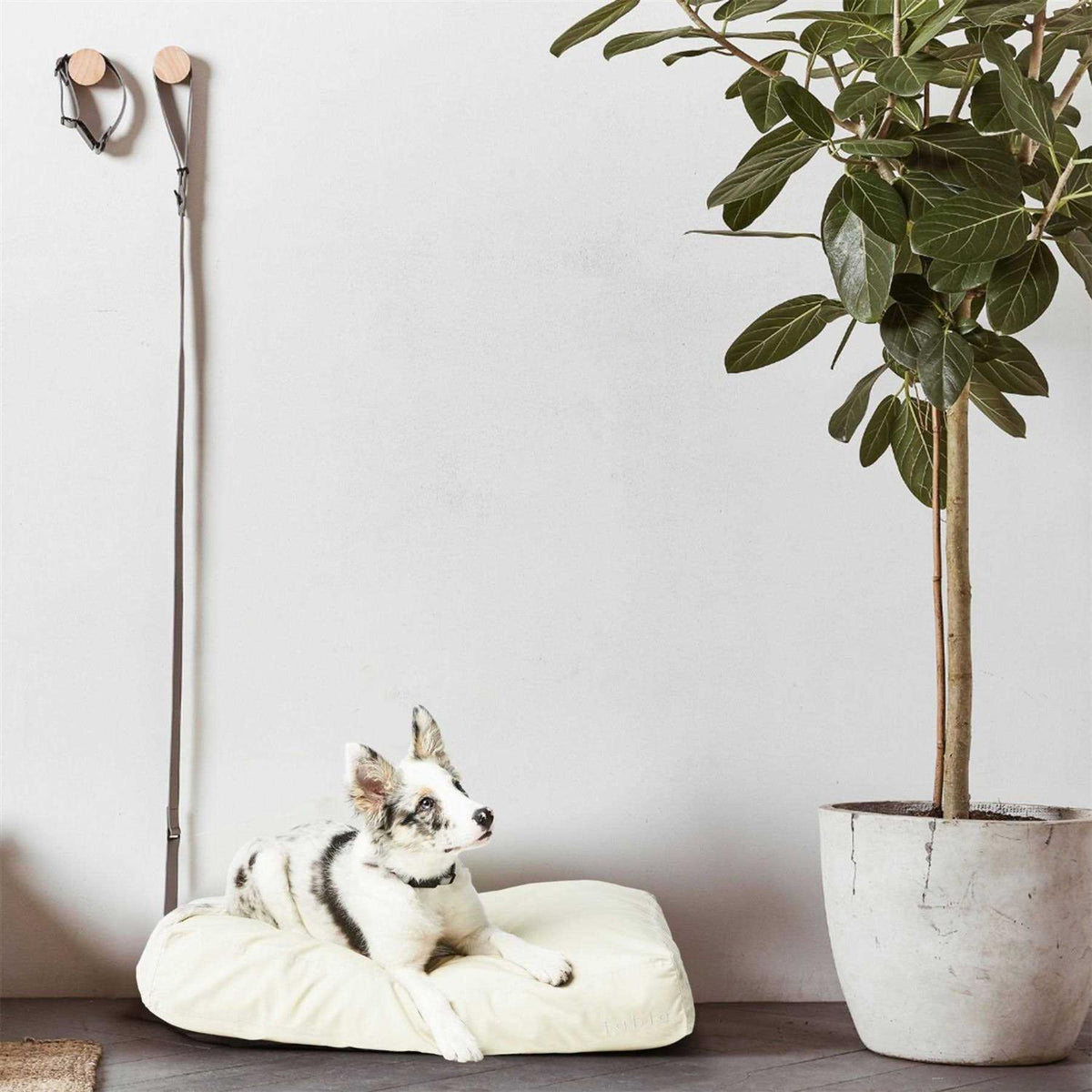 Dog Bed T896