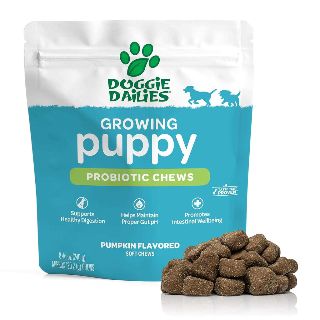 Puppy Probiotic with Digestive Enzymes Z15778