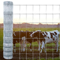 4×164ft Woven Galvanized Cattle Panel B1948