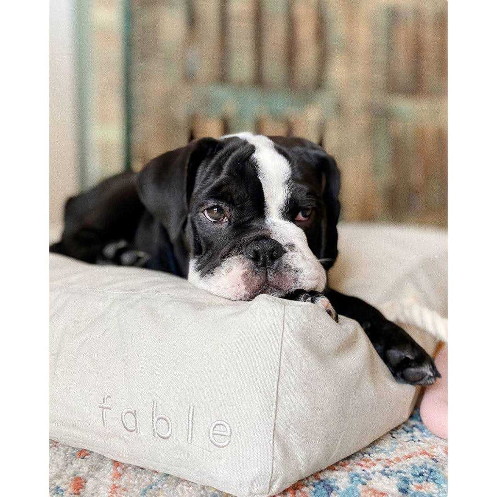 Dog Bed T896