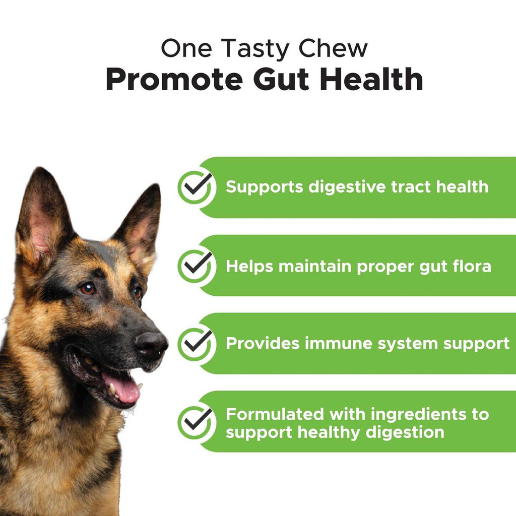 Digestive Probiotics Soft Chews Q43588