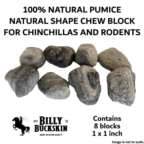 Volcanic Pumice Chinchilla Chew Block B42730