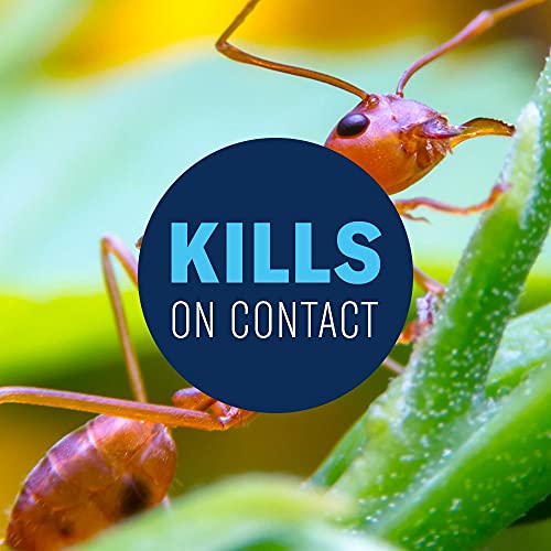 24 Hour Lawn Insect & Fire Ant Killer Granules 20 lb X2870