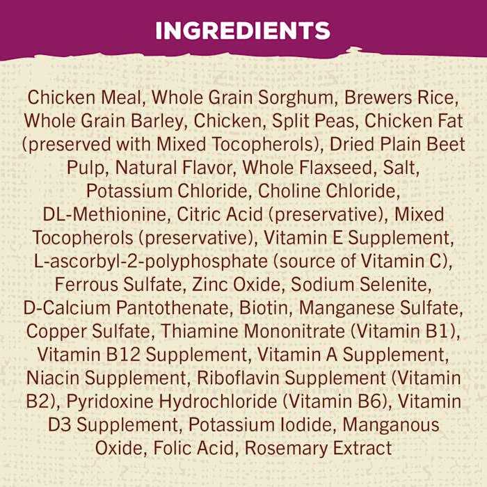 Adult Dry Dog Food with Chicken P93916