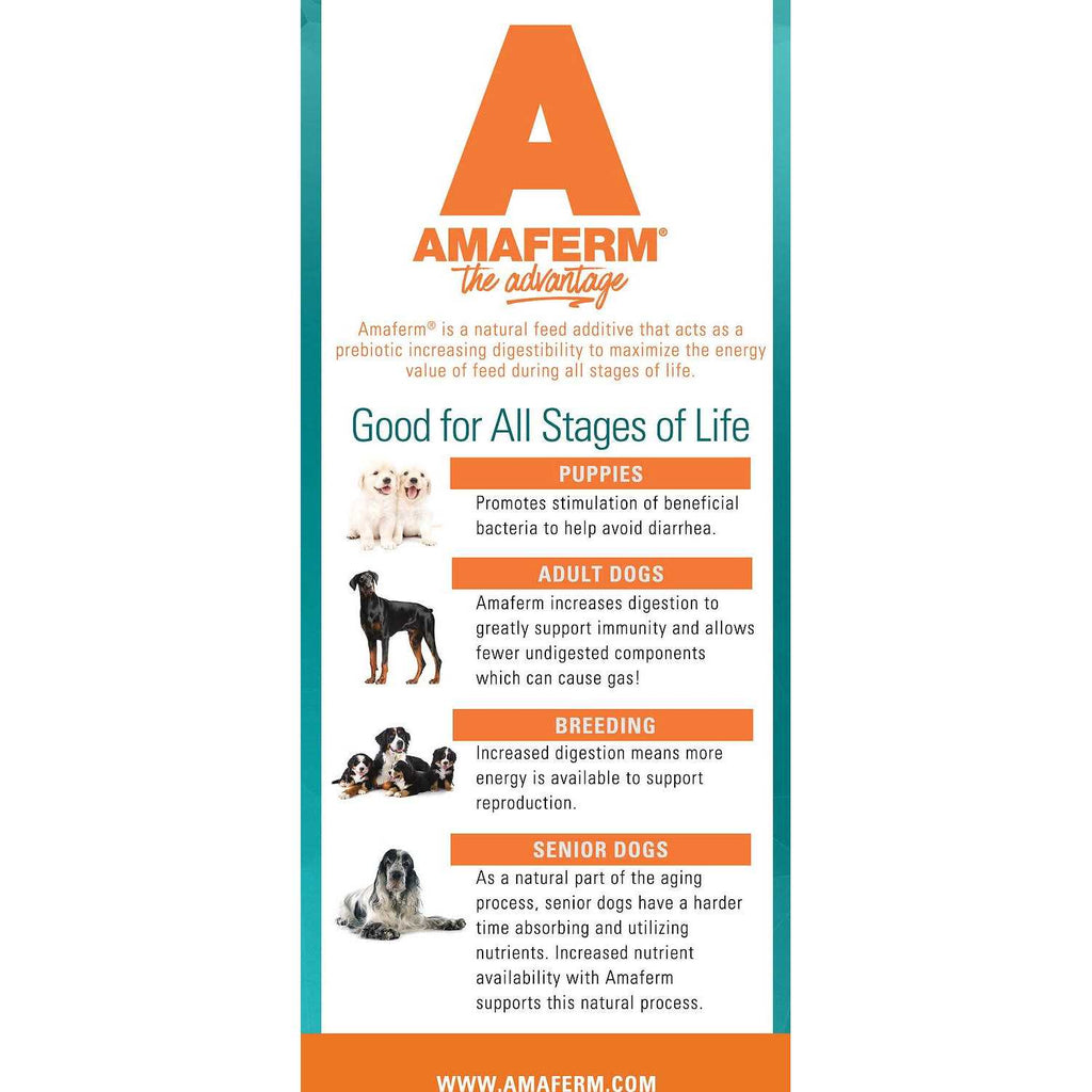 Dog Food T341