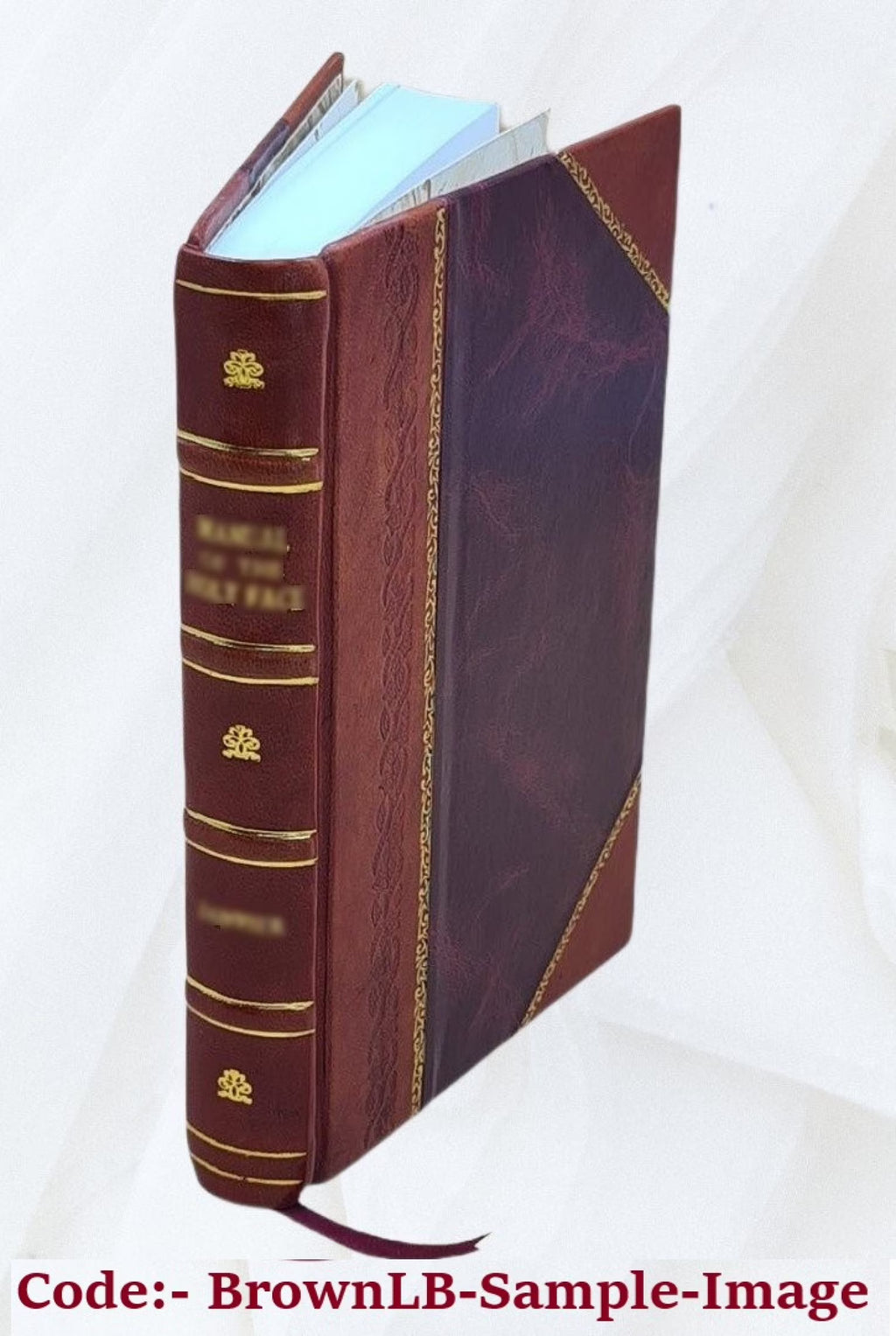 General Botha, the career and the man 1916 Leather Bound A136425
