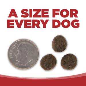 Beef & Red Lentils Grain Free Dry Dog Food H34470