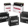Factory Activated Maintenance Free Battery A256294