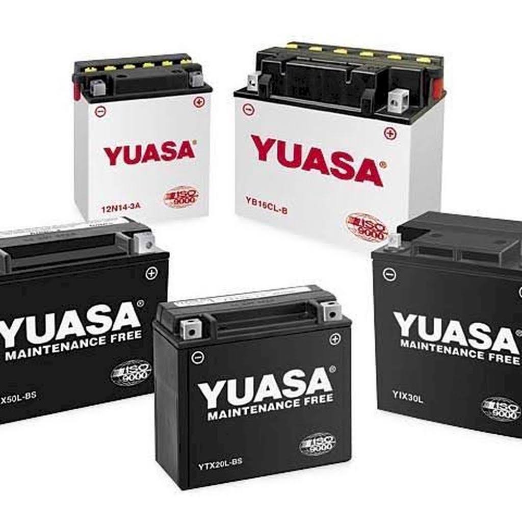 Factory Activated Maintenance Free Battery A256294