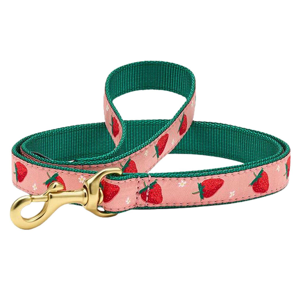 Strawberry Fields Dog Collar C2714