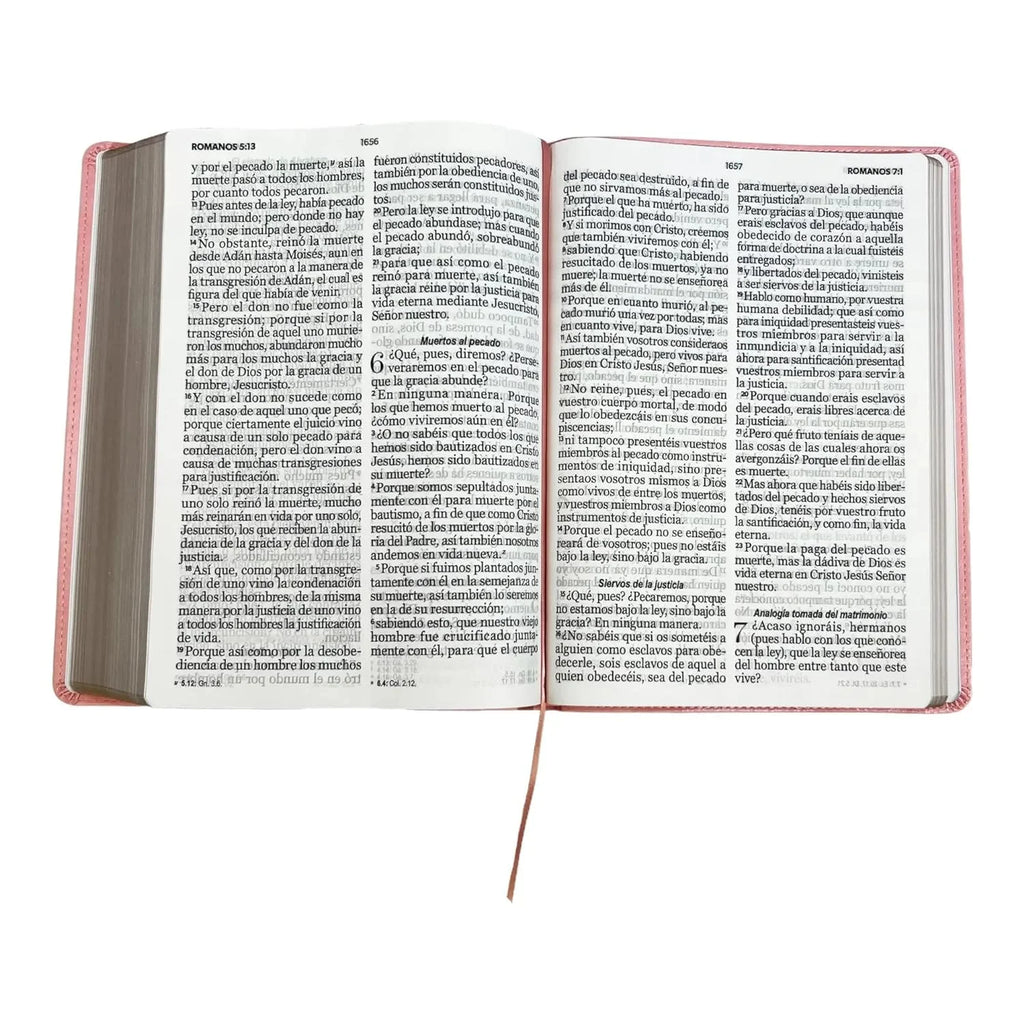 Simile Leather Imitation Leather Bible O809
