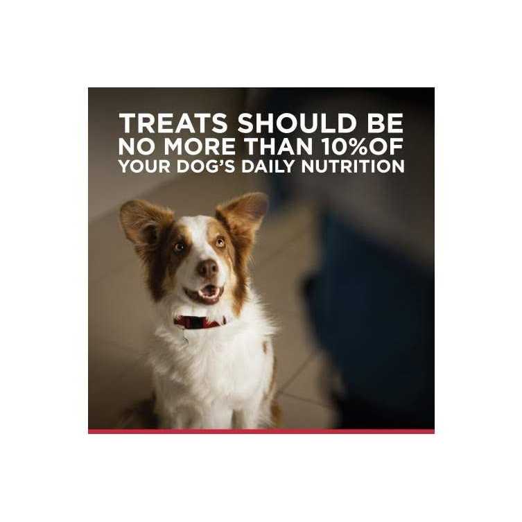 Jerky Dog Treats I36270
