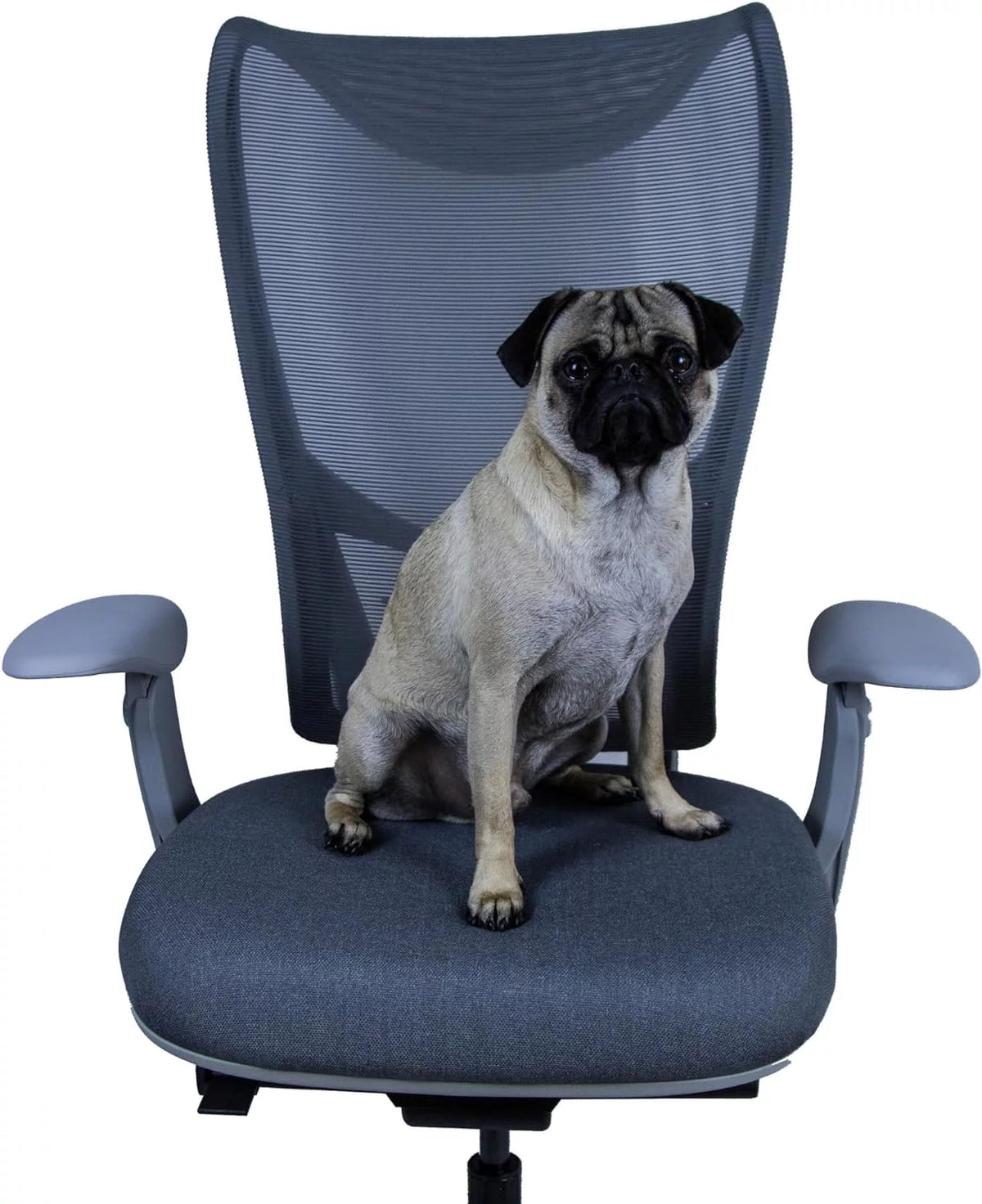 High Back Ergonomic Office Chair with Adjustable Lumbar Support U9704