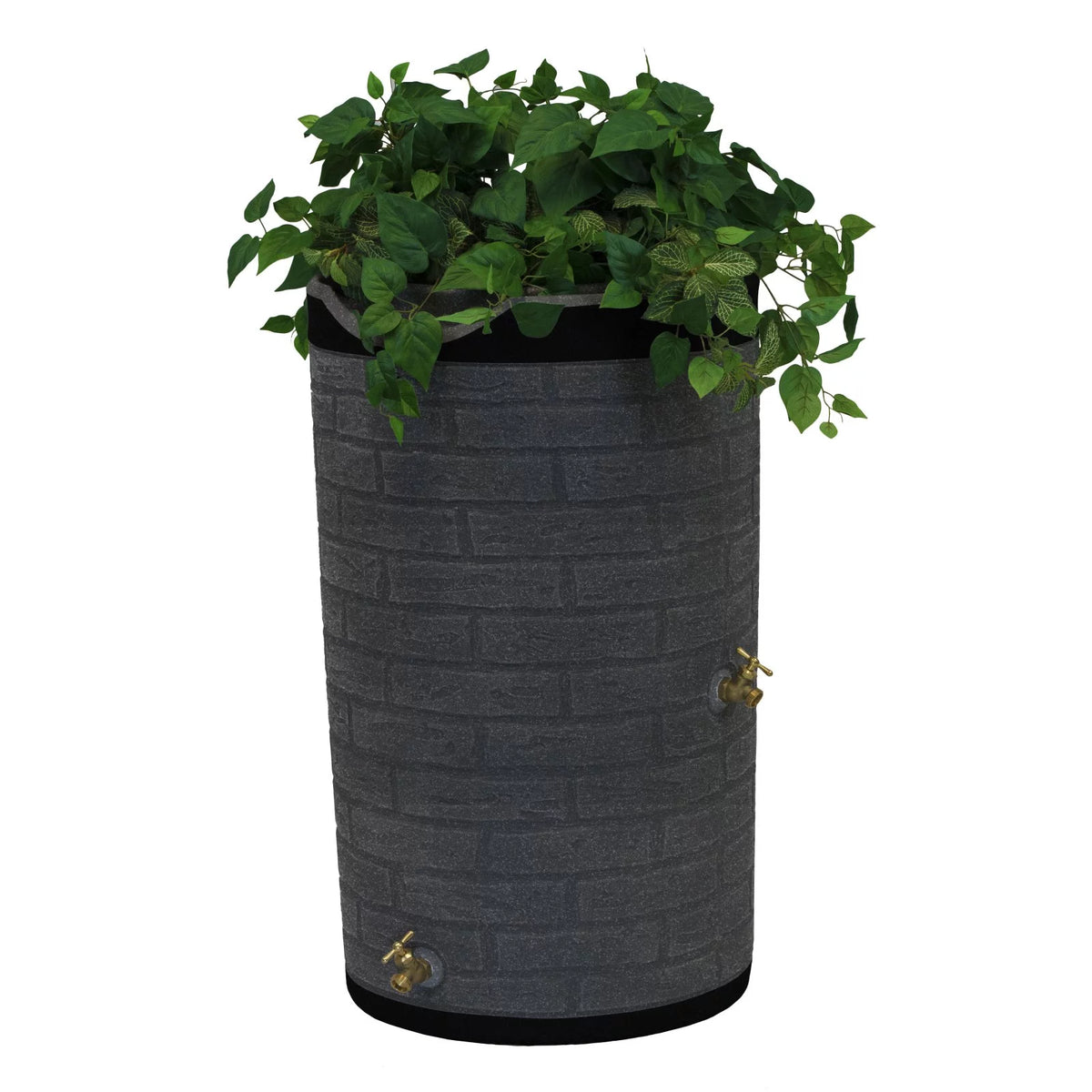 50 Gallon Rain Barrel L338