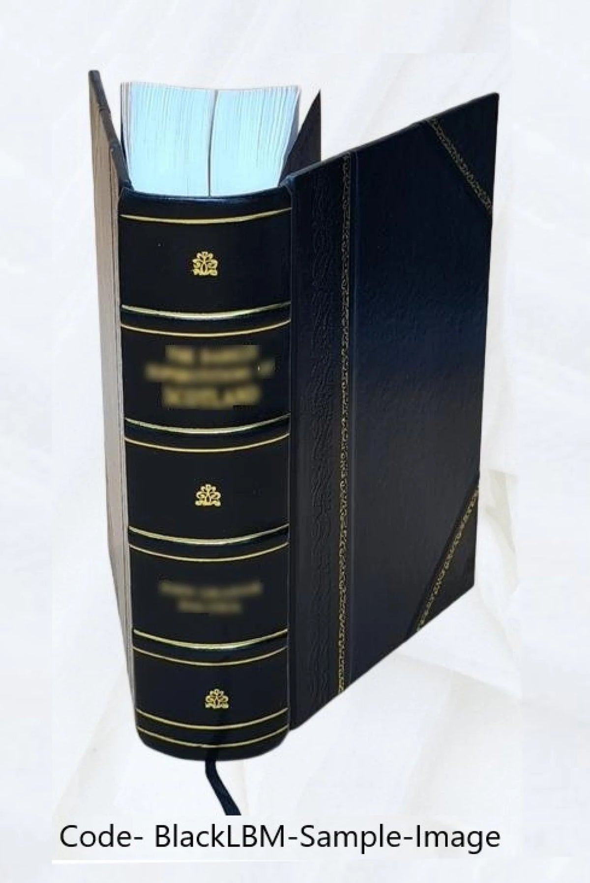 Leather Bound Book B26403