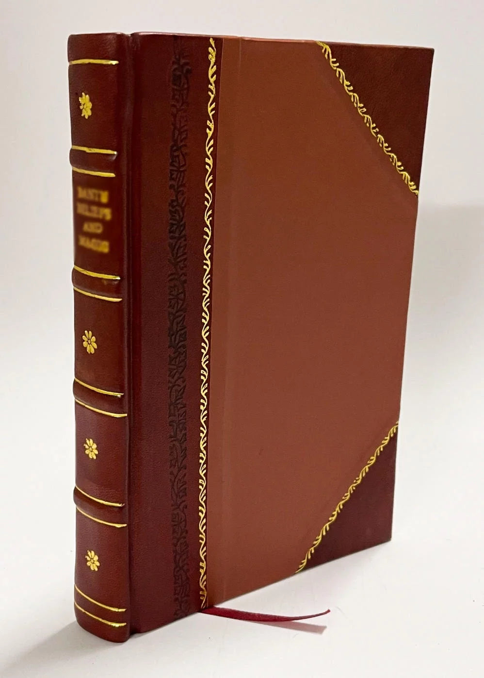 Leather Bound Book M213