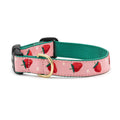 Strawberry Fields Dog Collar C2714