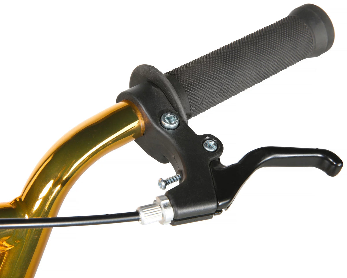 20-inch BMX Bike H485618