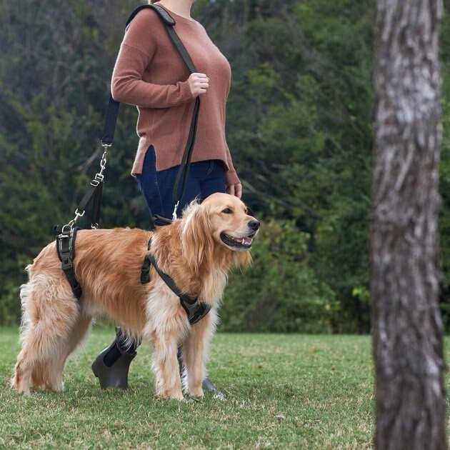 Dog Harness J4737