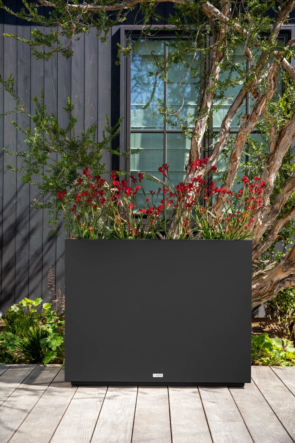 Black Plastic Planter A927
