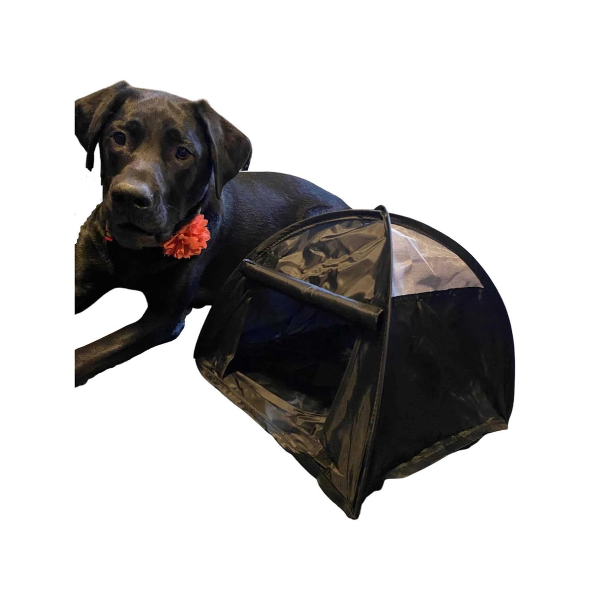 Pop Up Dog Tent Q74487