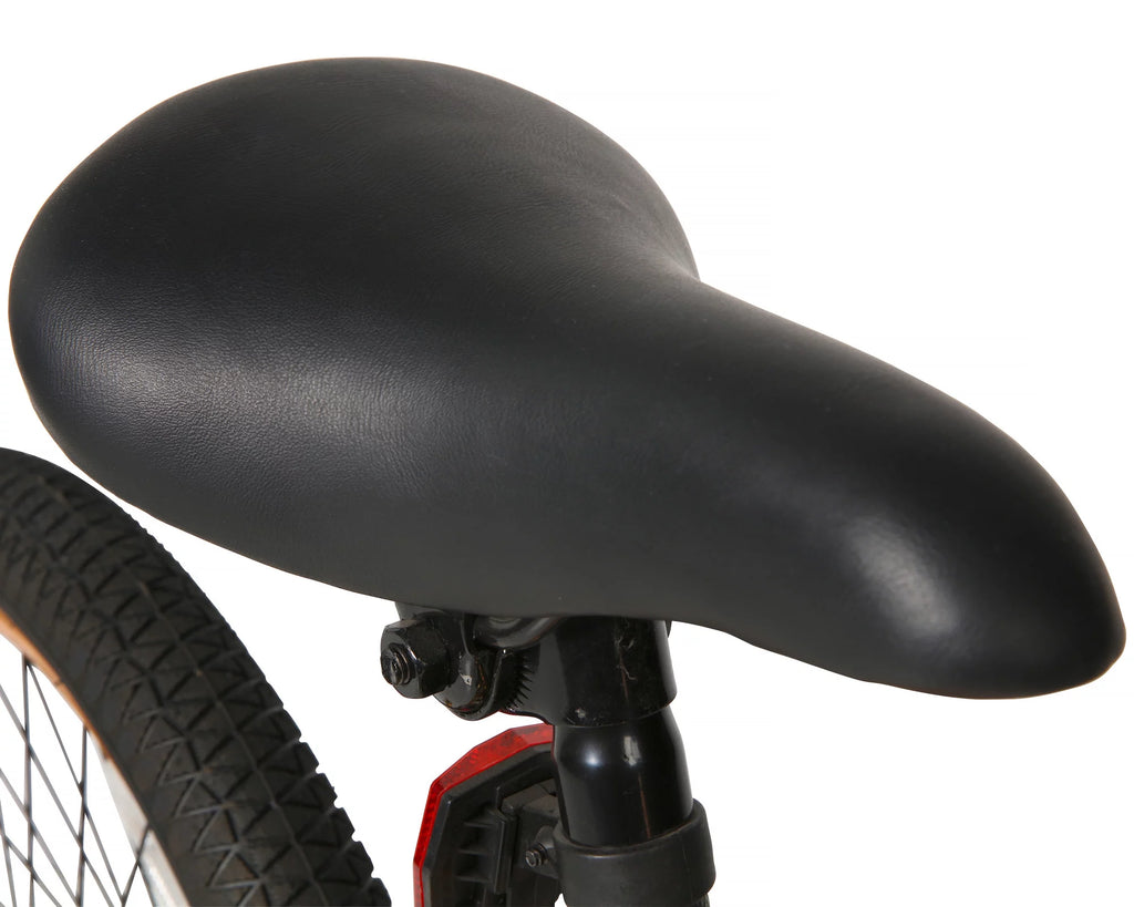 20-inch BMX Bike H485618
