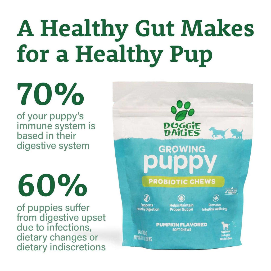Puppy Probiotic with Digestive Enzymes Z15778