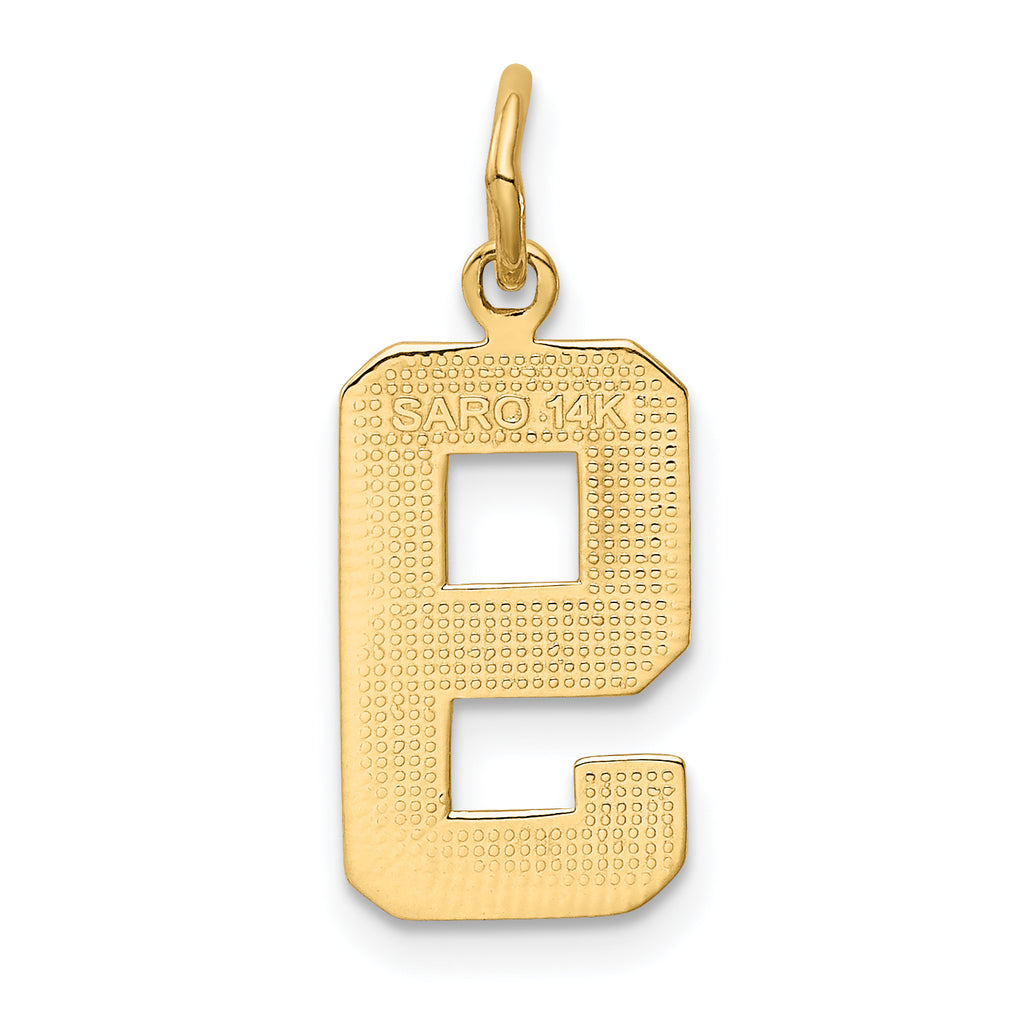 10K Yellow Gold Number 9 Pendant Charm Z858