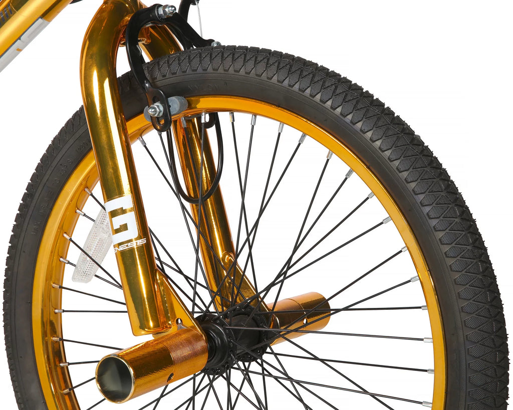 20-inch BMX Bike H485618