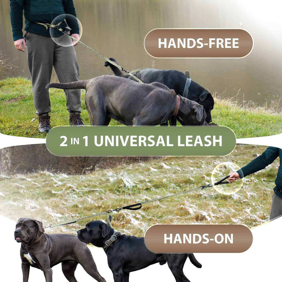Hands Free Double Dog Leash V5685