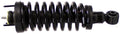 Suspension Strut and Coil Spring Assembly D189337