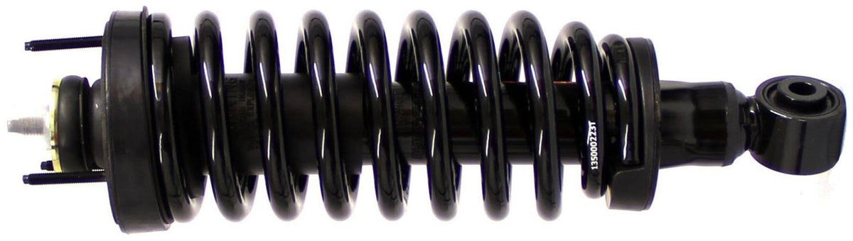Suspension Strut and Coil Spring Assembly D189337