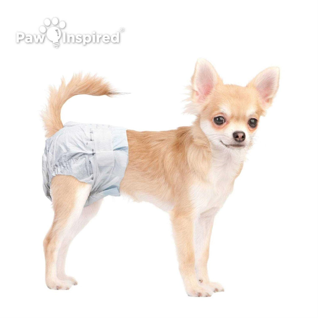Disposable Female Dog Diapers G15887