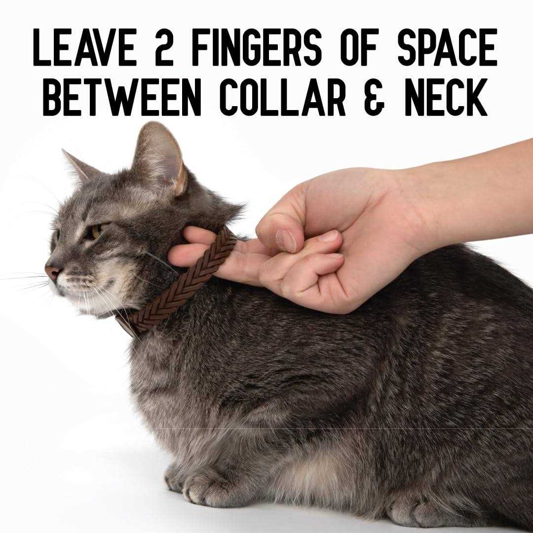 Hip + Joint Mobility Collar for Cats P311
