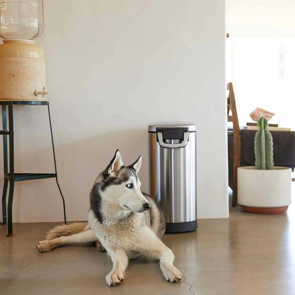 Stainless Steel Pet Food Storage A361