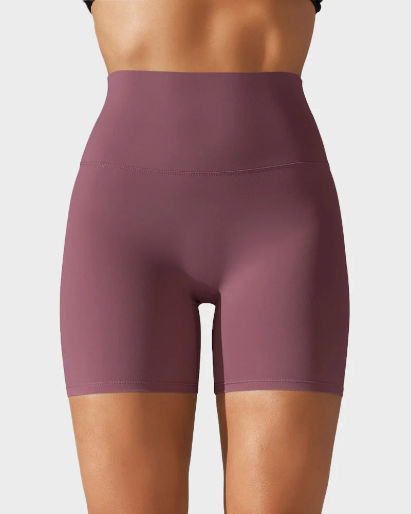 High-Waist Mesh Boyshorts B9324