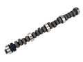 Drag Race Camshaft U190821