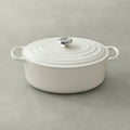 Matte White Cast Iron Oval Dutch Oven Y5703