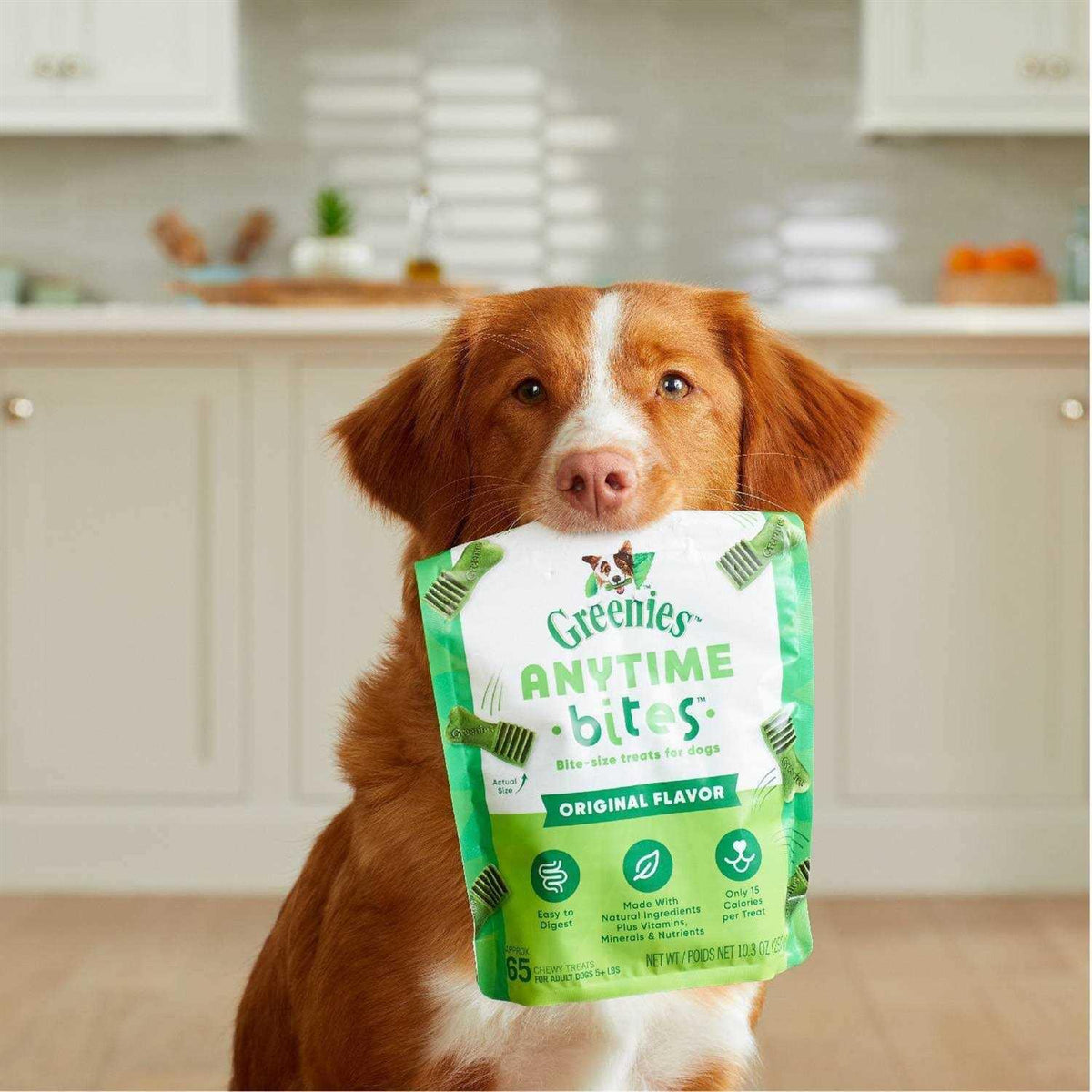 Dog Treats L56921