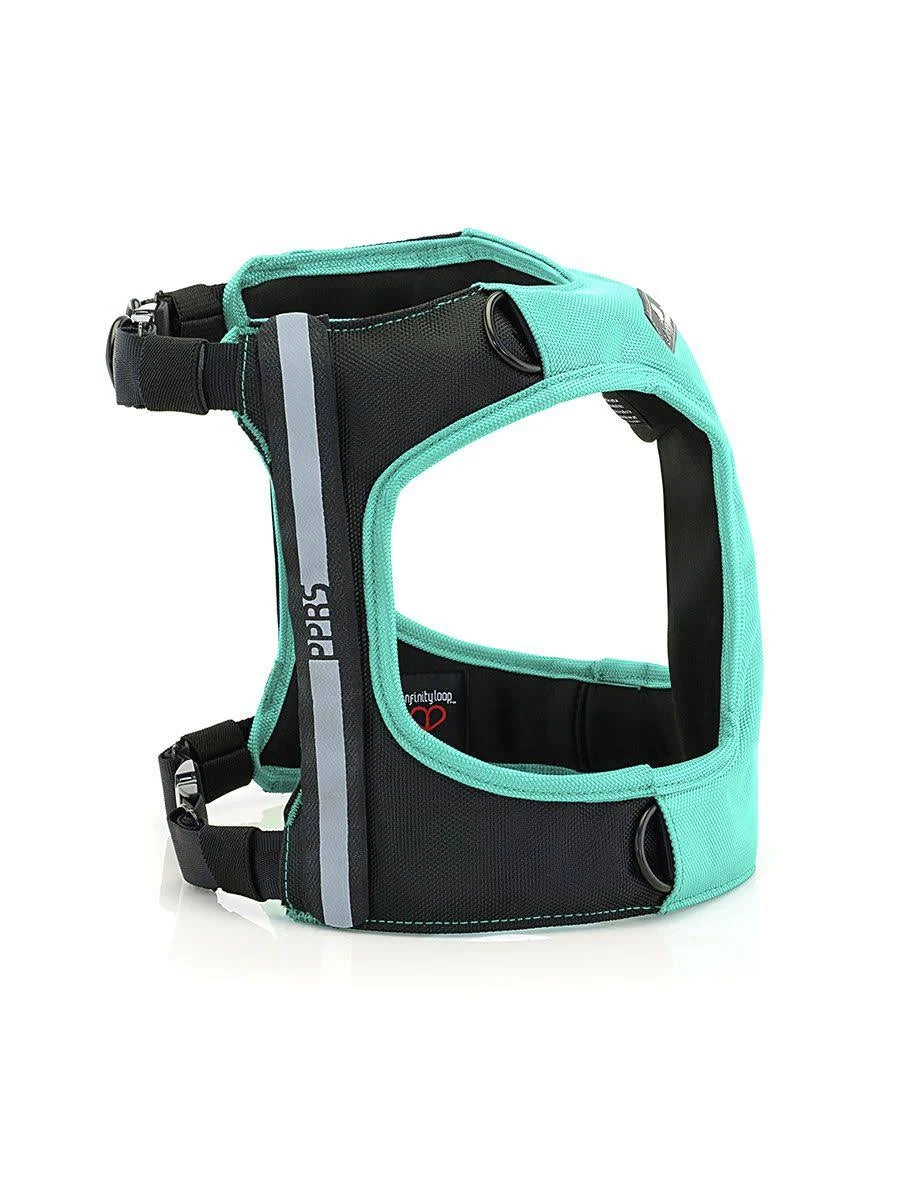 Large Black Dog Car Harness R54307