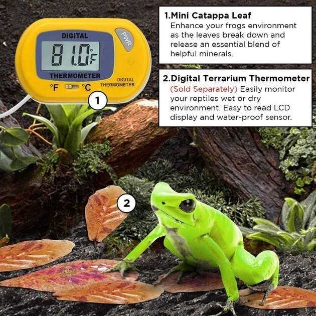 Dwarf Frog Mini Catappa Leaves H8177