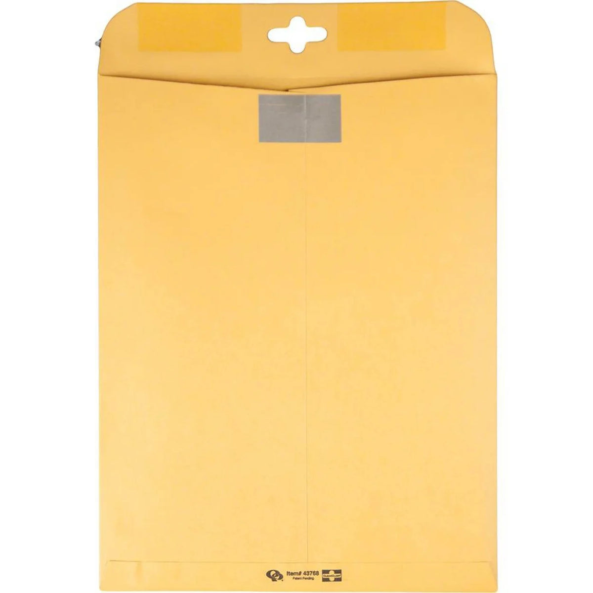 Brown Kraft Envelopes, 10 x 13, 100/Box P995523