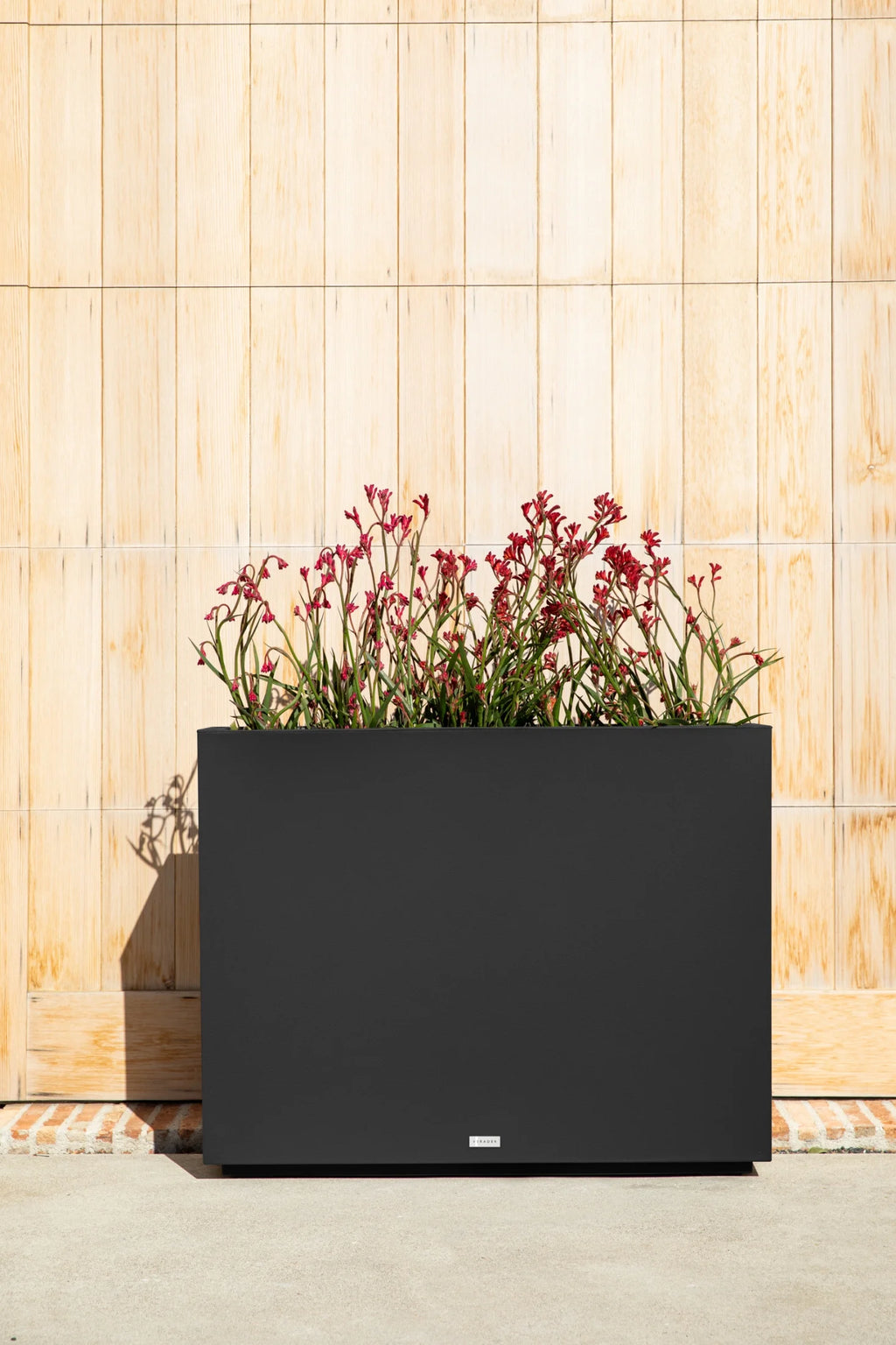 Black Plastic Planter A927